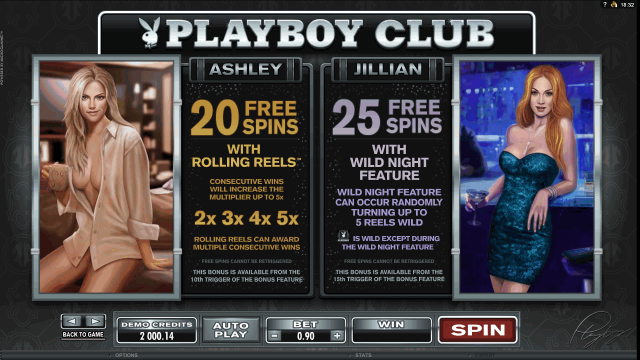 Игровой интерфейс Playboy 6